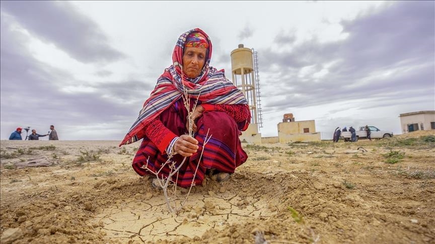 العاملات بقطاع الفلاحة في تونس