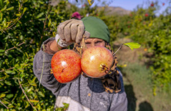 تستور الأندلسية عاصمة الرمان