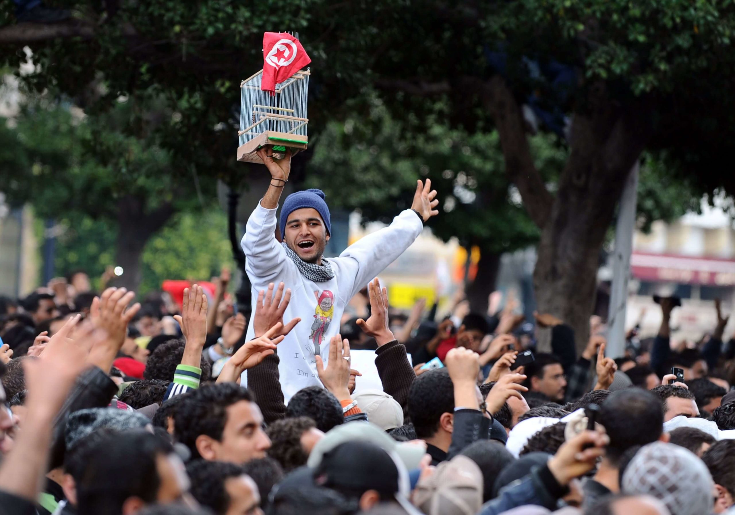 مرّ 12 عاما على ثورة الياسمين التونسية