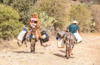 خارطة العطش تتسع في «تونس الخضراء»