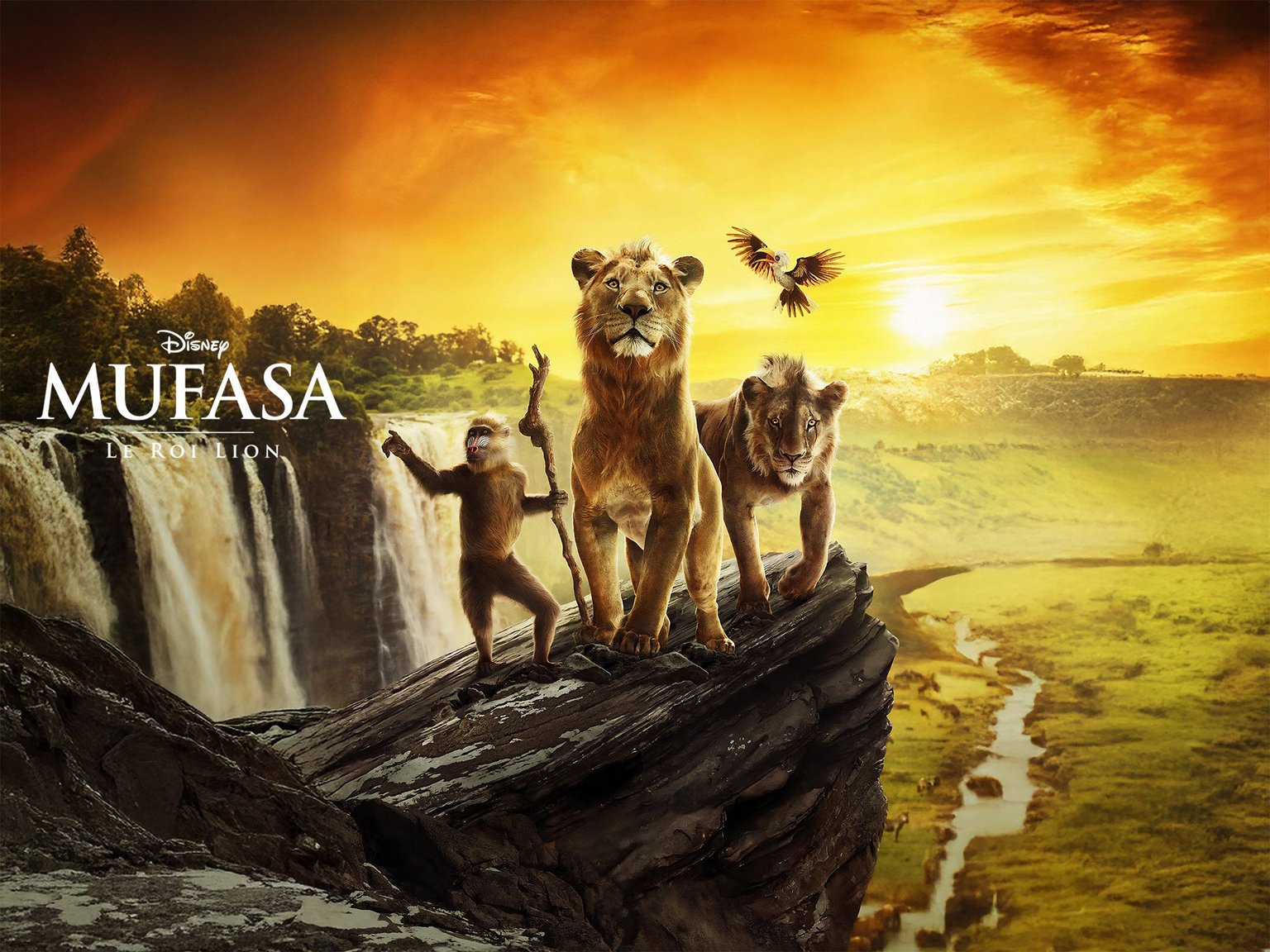 الفيلم العائلي Mufasa : Le Roi lion